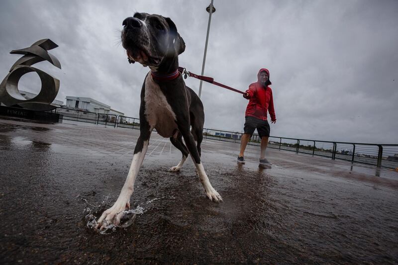 Carl Narman walks his dog in the rain as Hurricane Sally approaches in Mobile, Alabama, USA.  EPA