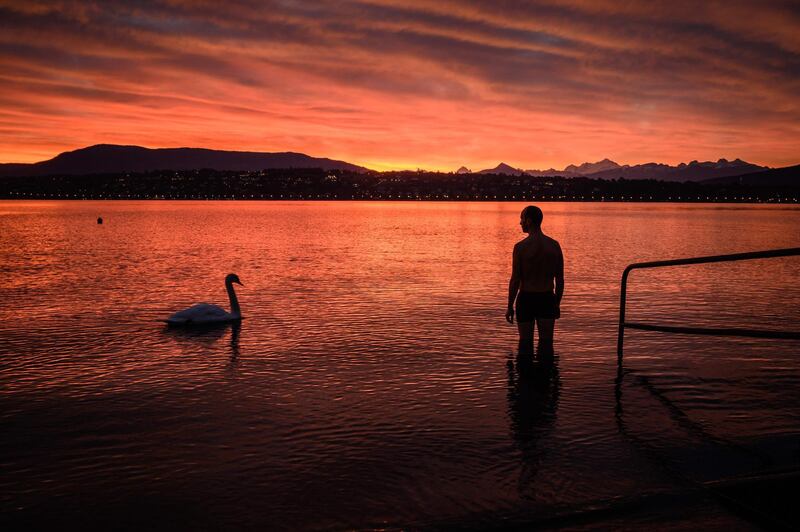 A man watches a swan swim past as he wades in Lake Geneva, Switzerland.  AFP
