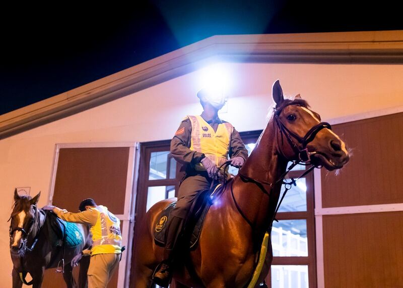 DUBAI, UNITED ARAB EMIRATES. 16 APRIL 2020. 
Dubai Mounted Police officers, in Al Aweer, prepare to load the horses into the trailer, as they prepare to patrol residential and commercial areas to insure residents are staying safe indoors during COVID-19 lockdown. They patrol the streets from 6PM to 6AM.

The officers of the Dubai Mounted Police unit have been playing a multifaceted role in the emirate for over four decades. 

The department was established in 1976 with seven horses, five riders and four horse groomers. Today it has more than 130 Arabian and Anglo-Arabian horses, 75 riders and 45 groomers.

All of the horses are former racehorses who went through a rigorous three-month-training programme before joining the police force. Currently, the department has two stables – one in Al Aweer, that houses at least 100 horses, and the other in Al Qusais, that houses 30 horses.

(Photo: Reem Mohammed/The National)

Reporter:
Section: