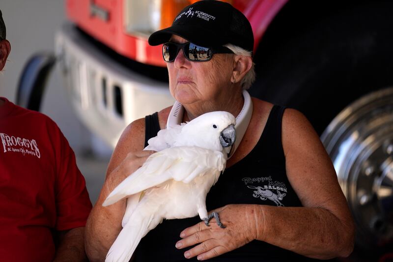 Ms Bailey waits to be moved off the island with her cockatoo. AP