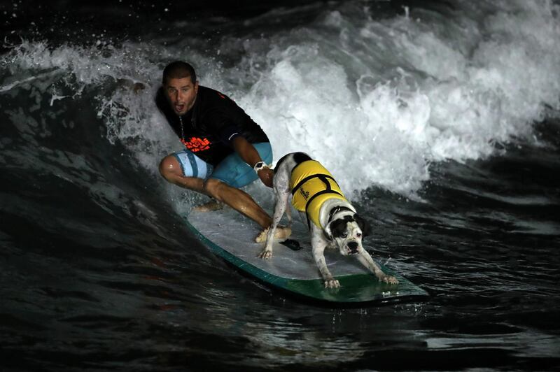 A surfer and his pet perform a manoeuvre during the night surfing exhibition at the World Qualifying Series in San Bartolo, Peru. Ernesto Arias / EPA