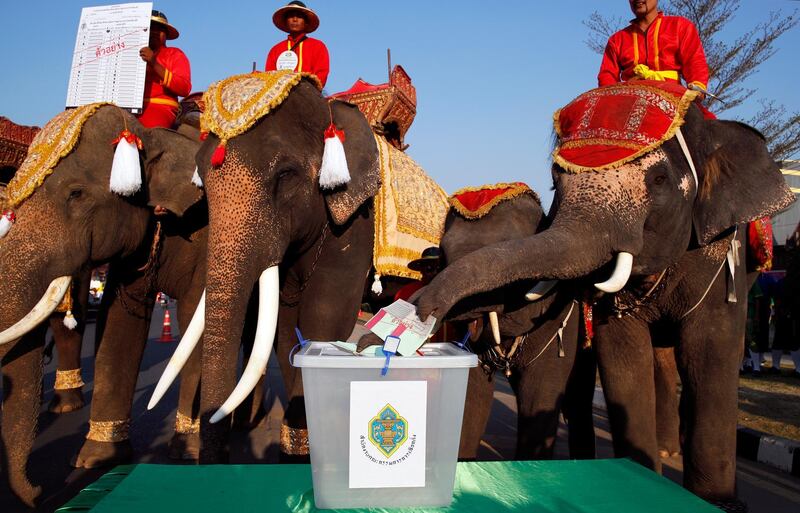 A Thai elephant uses its trunk to cast a sample ballot next to electoral officials during a campaign to boost and encourage eligible voters to go to the polls for the upcoming general election, in Ayutthaya province, Thailand. EPA