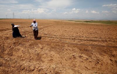 Iraqi farmers work in their fields north of Mosul, Iraq May 2, 2018. Picture taken May 2, 2018.   To match Special Report IRAQ-WATER/NINEVEH      REUTERS/Khalid Al-Mousily