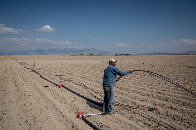 A farm worker puts down irrigation pipes in a parched field near the town of Karapinar, in Konya province, Central Anatolia, Turkey. All pictures Getty Images