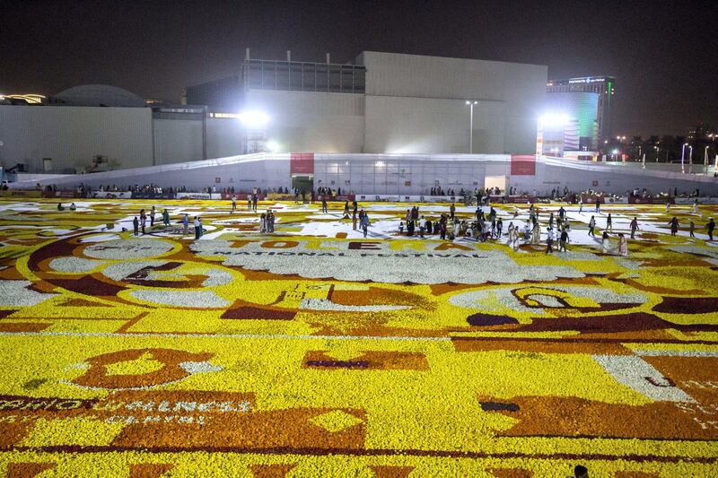 Dubai, United Arab Emirates- Thousands of volunteers laying out fresh flowers at the worlds largest fresh flower carpet with the theme of Tolerance to highlight UAE as a global capital  for tolerance at Dubai Festival City.  Leslie Pableo for The National (Please note that they did not break the world record as they ran out of fresh flowers)