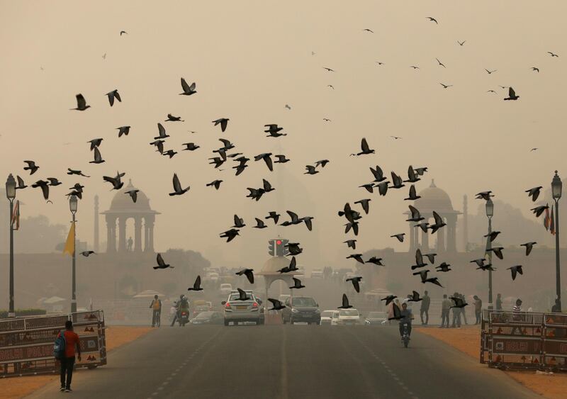 Birds fly as people commute near India's Presidential Palace on a smoggy day in New Delhi, India, November 1, 2019. REUTERS/Anushree Fadnavis     TPX IMAGES OF THE DAY