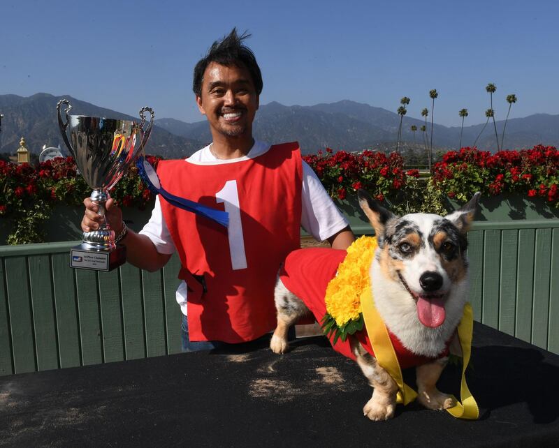Rick Garcia celebrates with his Corgi dog 'Roi' after winning the SoCal 'Corgi Nationals' championship at the Santa Anita Horse Racetrack in Arcadia, California. The event saw hundreds of Corgi dogs compete for the fastest dog title at the 17 race event. Mark Ralston / AFP
