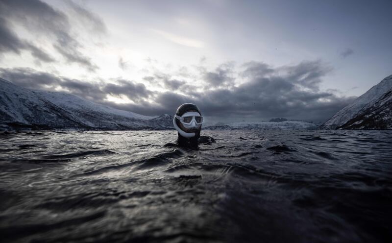 Five times freediving World Champion Arthur Guerin-Boeri of France warms up before a five in search of orcas in the northern Arctic Circle. AFP