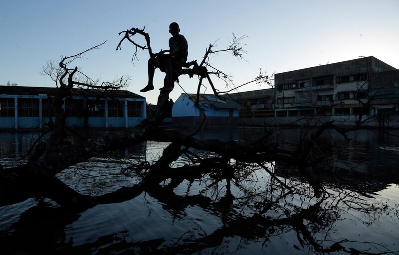 A young boy sits on a fallen tree outside a school in Beira, Mozambique. AP Photo