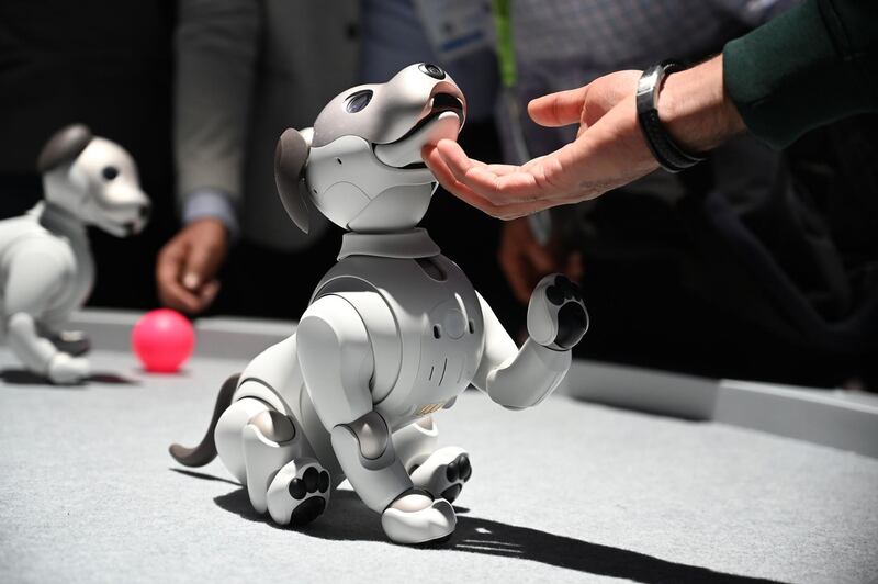 Attendees interact with the AIBO robotic companion dog at the Sony booth. AFP