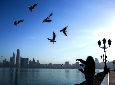 Abu Dhabi, United Arab Emirates, December 17, 2020. 
Early risers feed the seagulls at the UAE flag area at the Corniche on a chilly morning.
Victor Besa/The National
Section:  NA
For:  Standalone/Stock/Weather