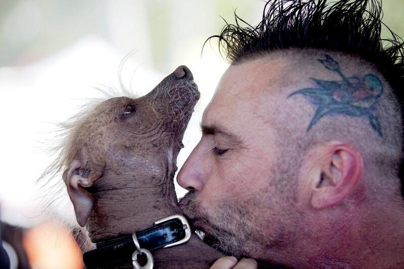 Jon Adler from Davis California kisses Icky a Chinese Crested before the start of the contest. Peter DaSilva / EPA