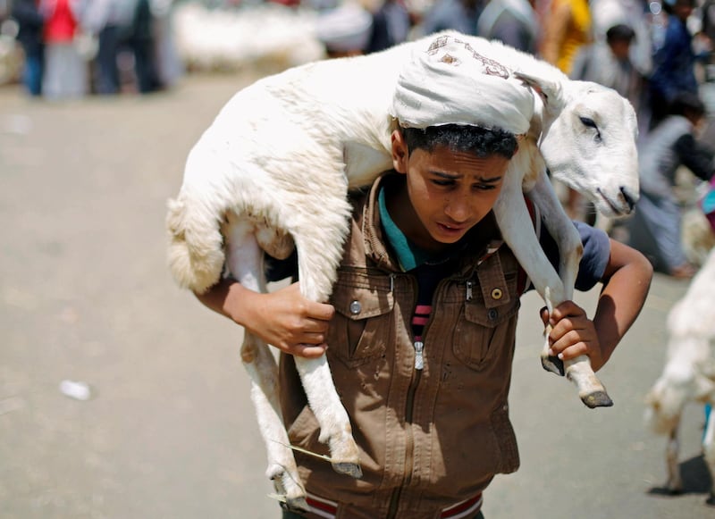 A boy carries a goat at a livestock market where people buy sacrificial animals ahead of the Eid al-Adha celebrations in Sanaa, Yemen. REUTERS