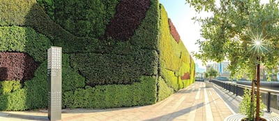 The living green wall at Dubai Wharf contains more than 80,000 plants. Courtesy Dubai Properties