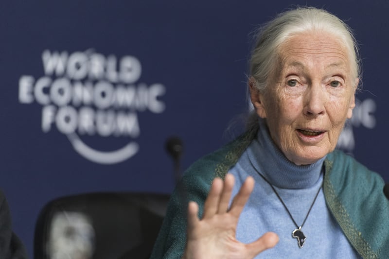 epa08150873 Jane Goodall, English primatologist and anthropologist, addresses a press conference during the 50th annual meeting of the World Economic Forum, WEF, in Davos, Switzerland, 22 January 2020. The meeting brings together entrepreneurs, scientists, corporate and political leaders in Davos from January 21 to 24.  EPA/ALESSANDRO DELLA VALLE