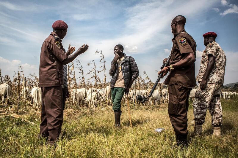 BARKIN LADI, JOS, NIGERIA: Members of the Vigilante Groups of Nigeria, Barkin Ladi division speaks with a young herder about ensuring that his cows do not enter farmland without the permission of the farmers in Barkin Ladi, Nigeria on Wednesday, October 24, 2018. (Photo by Jane Hahn/For The Washington Post via Getty Images)