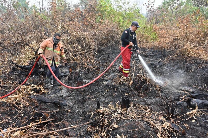 Firefighters spray water to extinguish a fire in Kampar, Riau province.  AFP