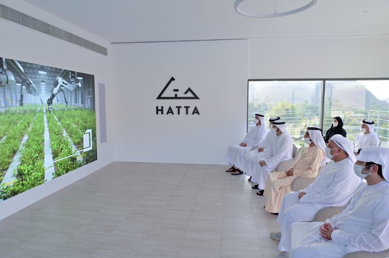 The Hatta Master Development Plan aims to turn the area into an attractive local and international destination for business, investment and tourism. Photo: WAM