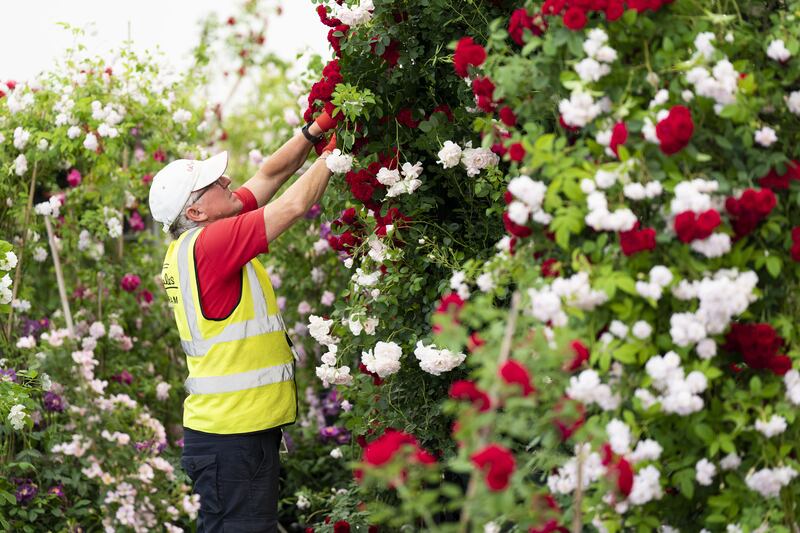 Preparations got under way on Wednesday for the RHS Chelsea Flower Show in west London. PA