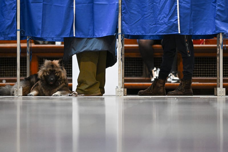 A dog waits as its owner casts a vote at the City Hall of Copenhagen. AFP