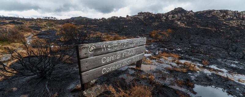 A burnt World Heritage sign is surrounded by a singed landscape after the bushfires on Tasmania’s Central Plateau. Courtesy Dan Broun.
