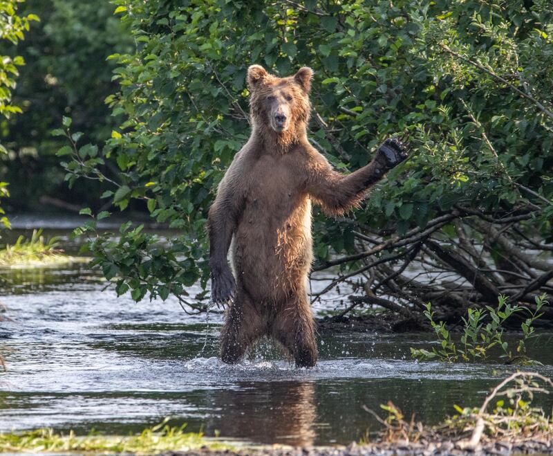 Hi Y'all. Eric Fisher / Comedy Wildlife Photo Awards 2020