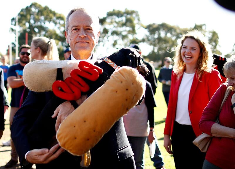 Labor Leader Bill Shorten meets Eva the Democracy Sausage Dog in the seat of Boothby, in Adelaide, Australia. Getty Images