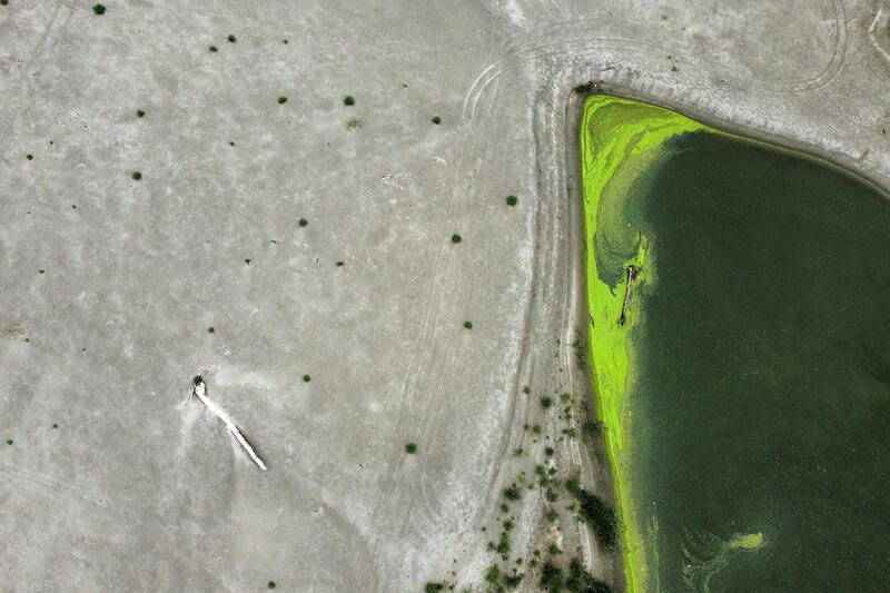 The dried-up River Po that has been affected by the worst drought in 70 years, near Borgo Virgilio, Italy. Reuters