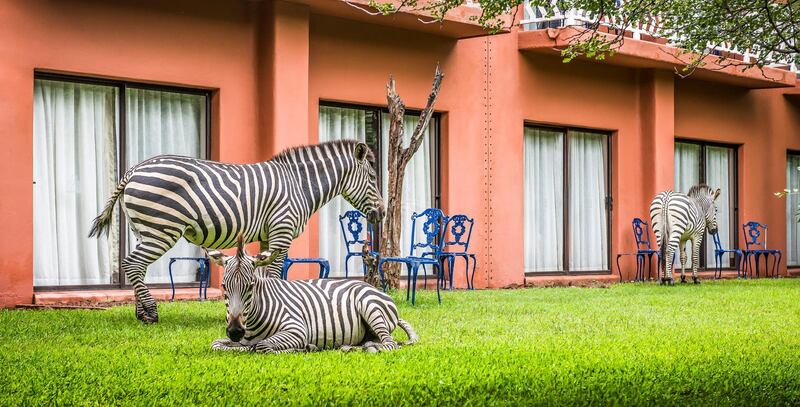 Get up close and personal with wildlife in Zambia. Courtesy Avani Victoria Falls