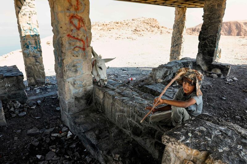 A Palestinian Bedouin boy of the Rashaida tribe sits with a donkey at a viewing point overlooking the Dead Sea in the West Bank. AFP