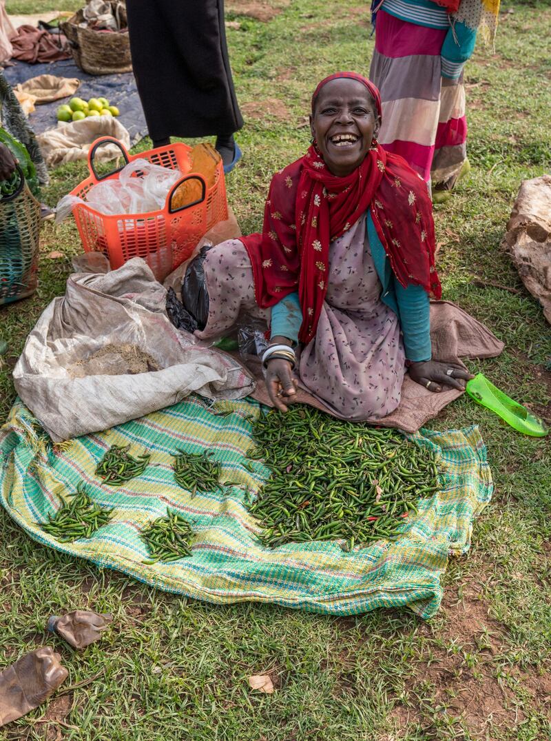 Guinea worm disease is on track to be the first human disease eradicated since smallpox, and the first disease to be eradicated without the use of vaccines or drugs. Courtesy: The Carter Centre