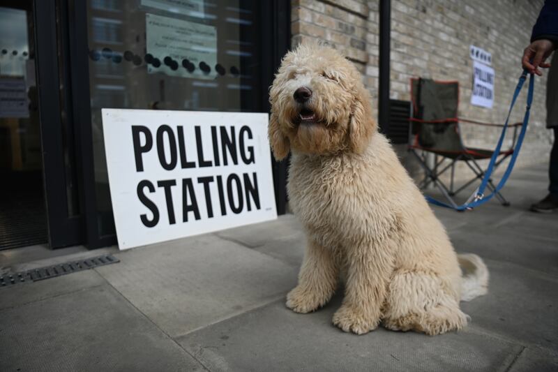 A dog waits at a polling station in London. EPA