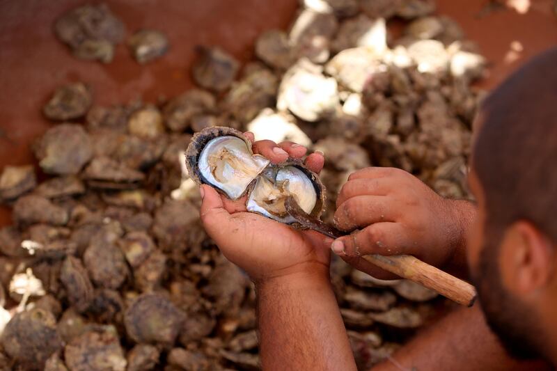 Pearl-diving trips are held annually under the patronage of the Kuwaiti emir.