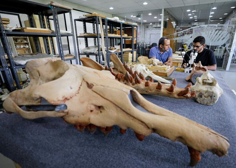 The fossil was found by Dr Salam and his team, including graduate student Abdullah Gohar. Reuters