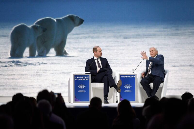 The Duke of Cambridge and David Attenborough on stage in Davos. AFP