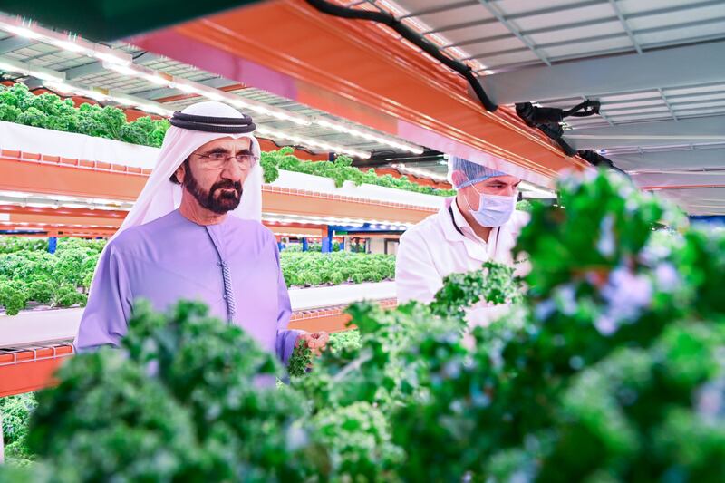 The vertical farm is capable of producing more than 1,000 tonnes of leafy greens each year.