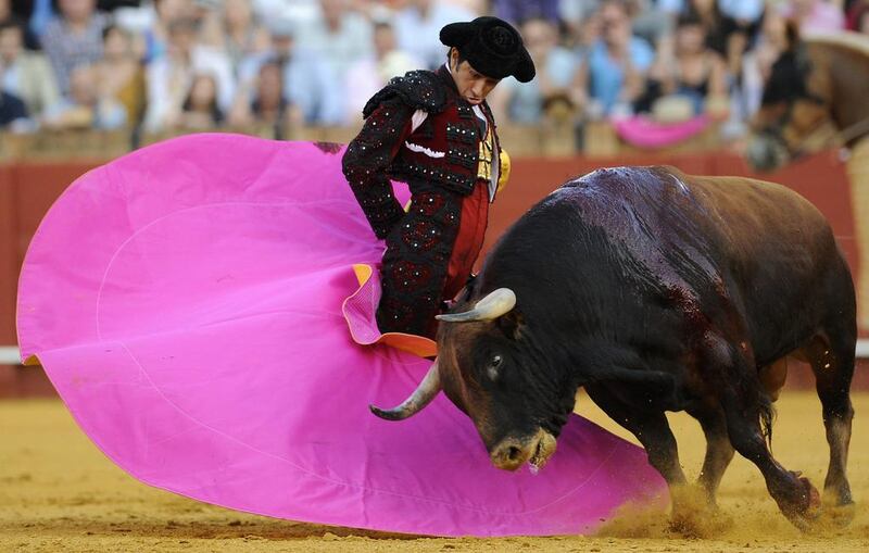 Mexican matador Joselito Adame performs a pass on a bull during a bullfight at the Maestranza bullring in Sevilla on May 9, 2014. AFP