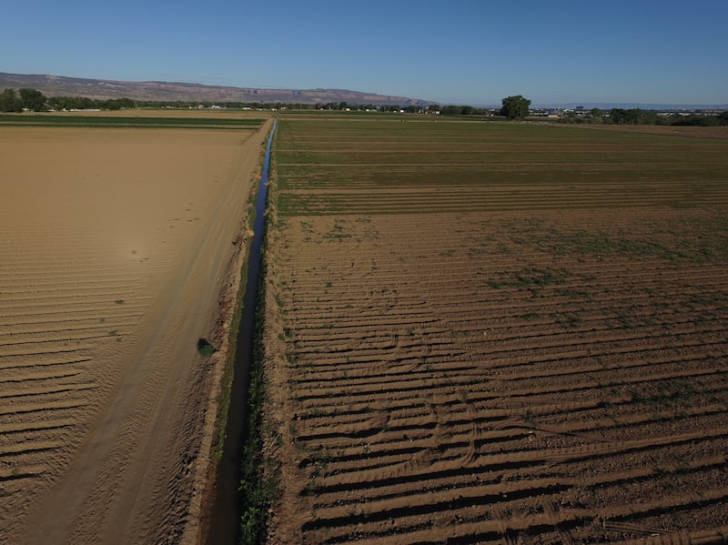 An aerial view of an irrigation canal on Frank Nieslanik’s farm shows the difference water makes to crops.
