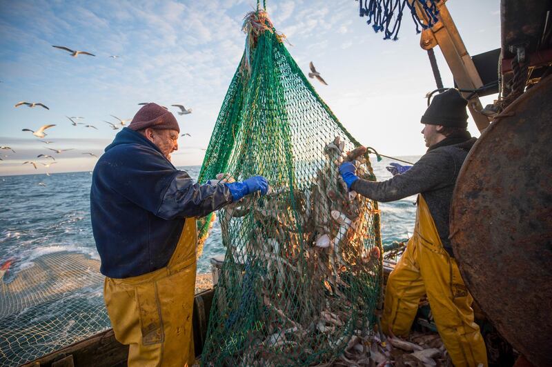 Fishermen empty their catch aboard fishing boat 'About Time' while trawling in the English Channel from the Port of Newhaven, East Sussex, UK on January 10. All pics: Bloomberg