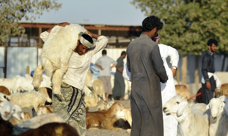 A man carries a sheep at an live stock market in the Saudi Red Sea port city of Jeddah ahead of the Eid al-Adha holiday on November 5, 2011. Eid al-Adha, the feast of sacrifice or Bairam as it is known in some non-Arab Muslim countries, is the feast that marks the end of the hajj pilgrimage to Mecca and commemorates Abraham's willingness to sacrifice his son to God. AFP PHOTO/AMER HILABI
 *** Local Caption ***  208584-01-08.jpg