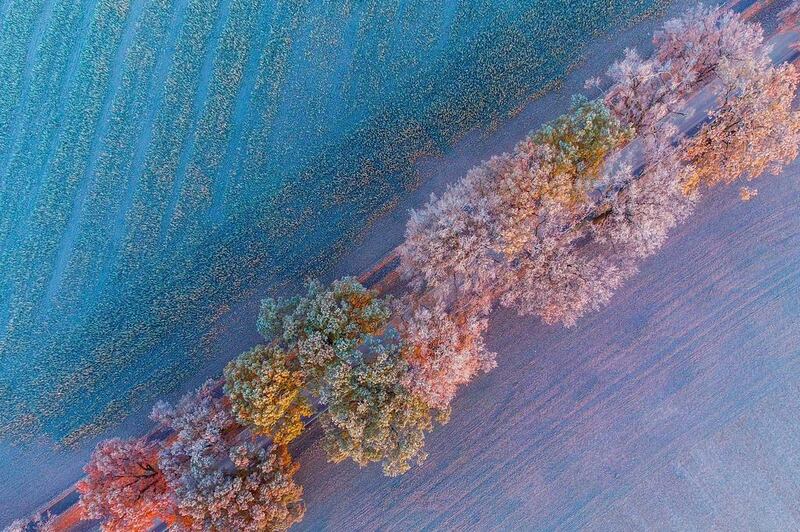 A photograph taken from a drone shows frost on colourful laurel bushes in Brandenburg, Germany. Patrick Pleul / EPA