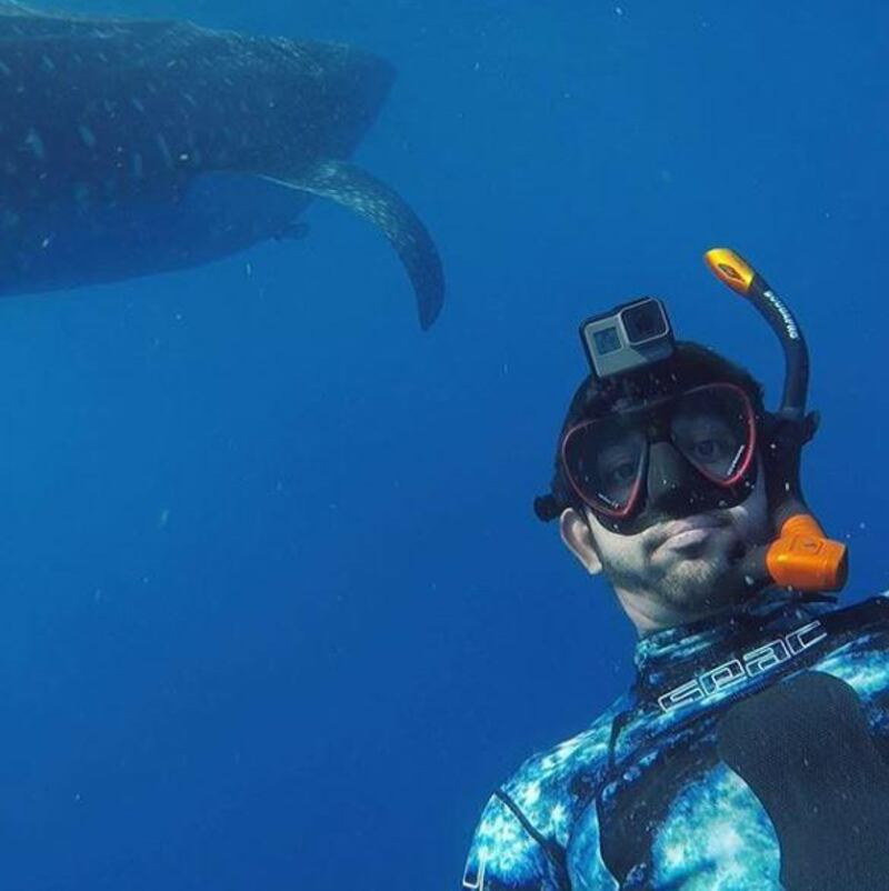 Sheikh Hamdan bin Mohammed, Crown Prince of Dubai, enjoyed a close encounter with some giant sharks. Courtesy Sheikh Hamdan's Instagram