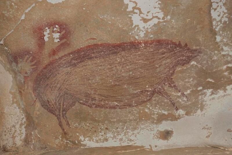 The pig painting at Leang Tedongnge in Sulawesi, Indonesia, which was made at least 45,500 years ago. AFP        