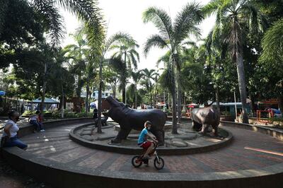 A boy rides his bicycle in a park decorated with hippo statues in Doradal, Colombia, Thursday, Feb. 4, 2021. Pablo Escobar and his Cartel de Medellin are long dead, but the hippos from his personal zoo continue to flourish in tropical countryside and wetlands in and around his former hacienda. (AP Photo/Fernando Vergara)