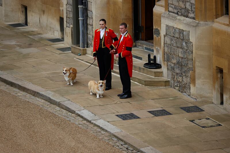 The royal corgis await the cortege at Windsor Castle. Reuters