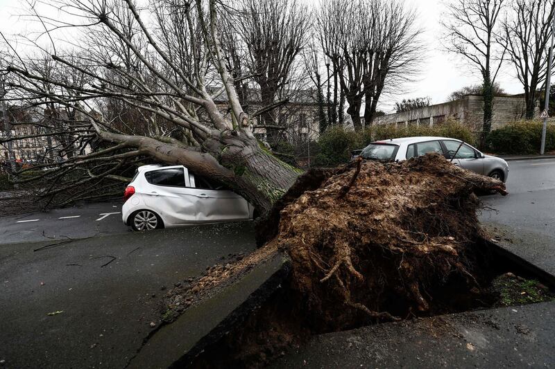 Damaged cars as a tree fell down after being hit by strong winds in Caen, after storm Dennis swept accross northwestern France, leaving around 18.500 houses without electricity.   AFP