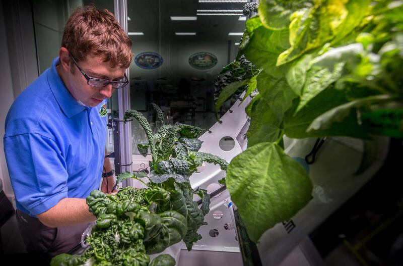 The space station already has a garden that researchers have been using for years to grow different kinds of plants. Photo: Nasa