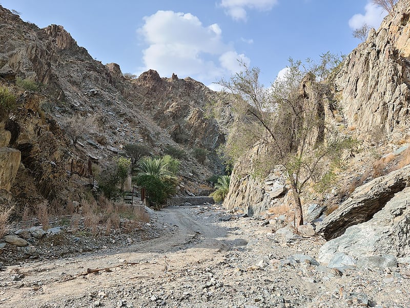 8. Wadi Tayyibah, Fujairah. Photo: Wikipedia