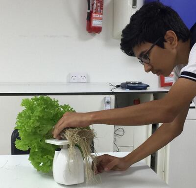 A pupil learns about sustainable farming practices. Courtesy: Madar Farms