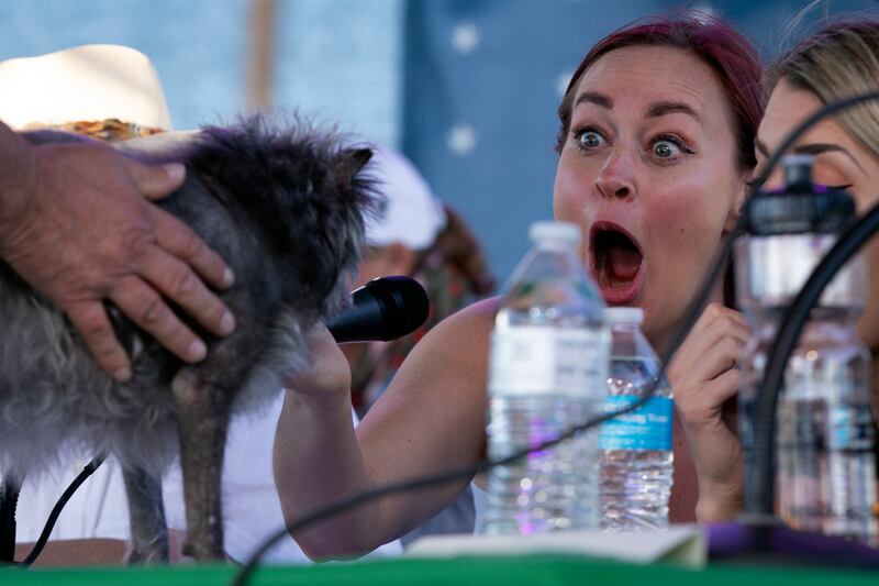 Judge Mamrie Hart reacts to Monkey, a dog from Pleasant Hill, California. AP